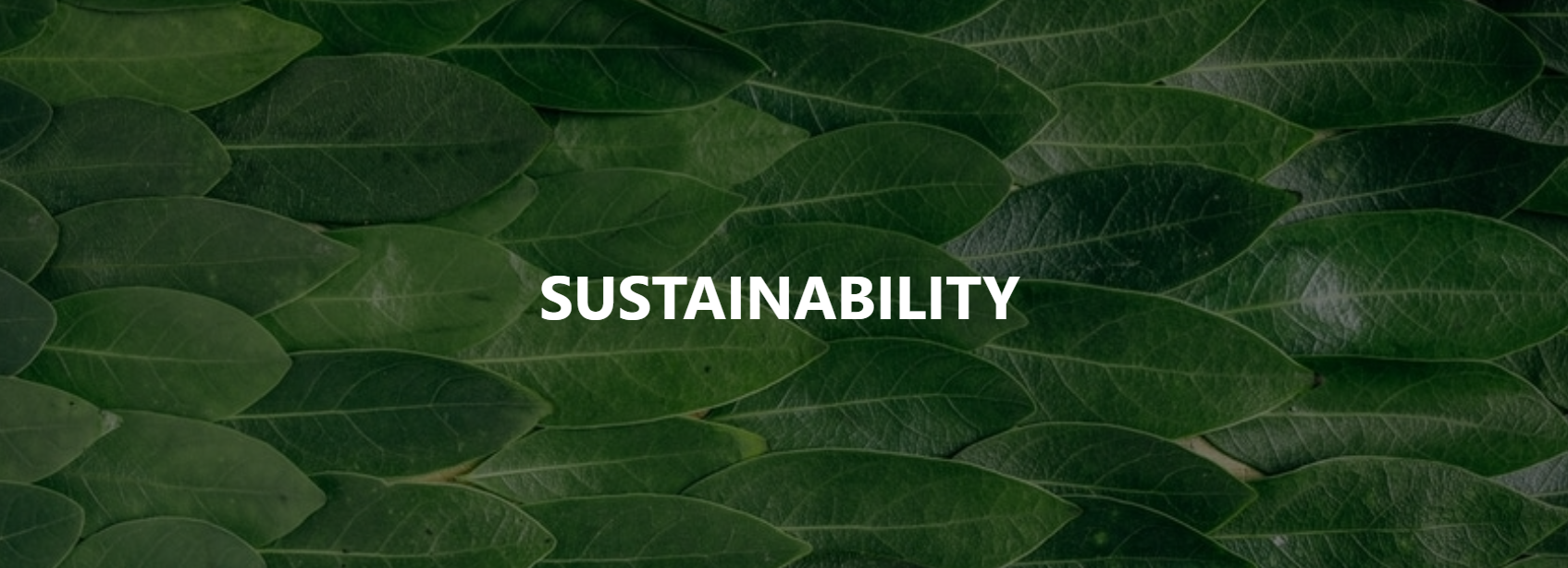 Eco-friendly / Sustainable Swimwear Beachwear: Fabrics, Certifications & Styles